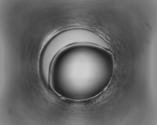 X0000112730248200909031451