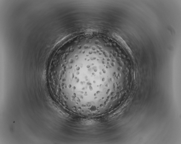 X0000112730249200909031451