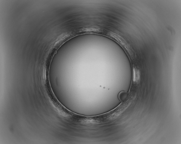 X0000112730253200909031451