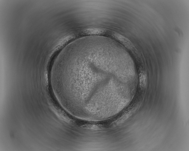 X0000112730254200909031451