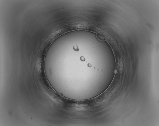 X0000112730255200909031451