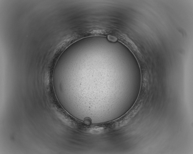 X0000112730257200909031451