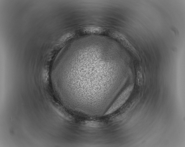 X0000112730259200909031451