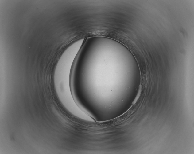 X0000112730263200909031451