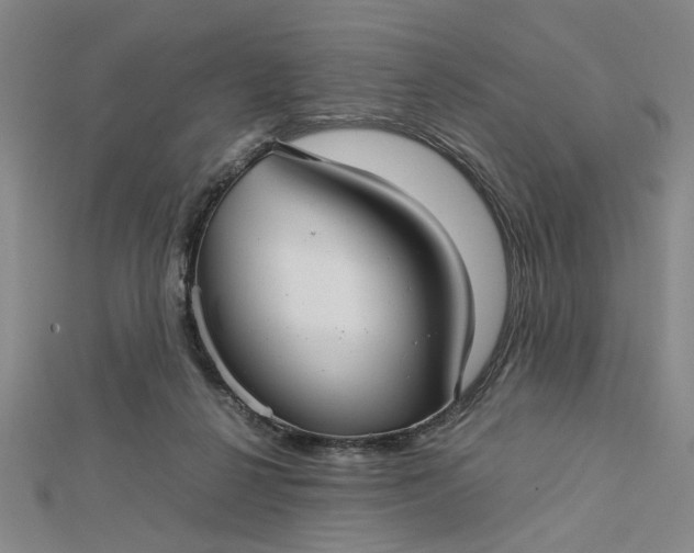 X0000112730264200909031451