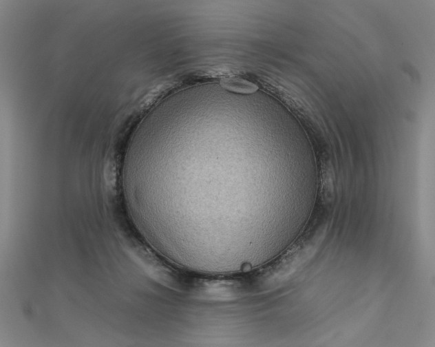 X0000112730268200909031451