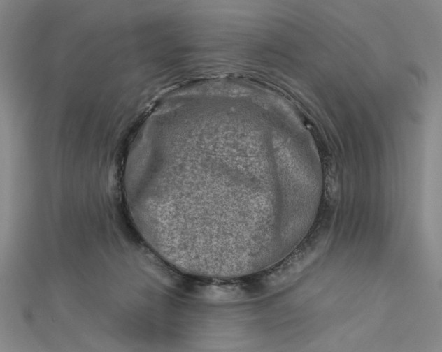 X0000112730270200909031451