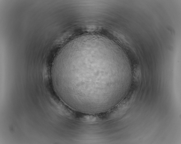 X0000112730272200909031451