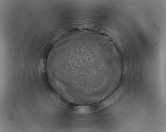 X0000112730273200909031451