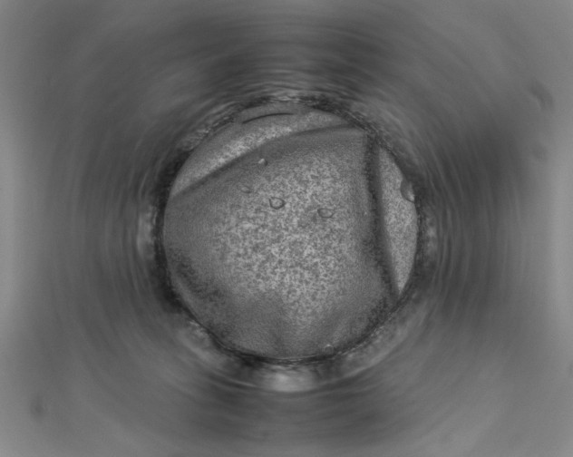 X0000112730275200909031451