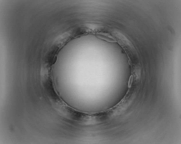 X0000112730276200909031451