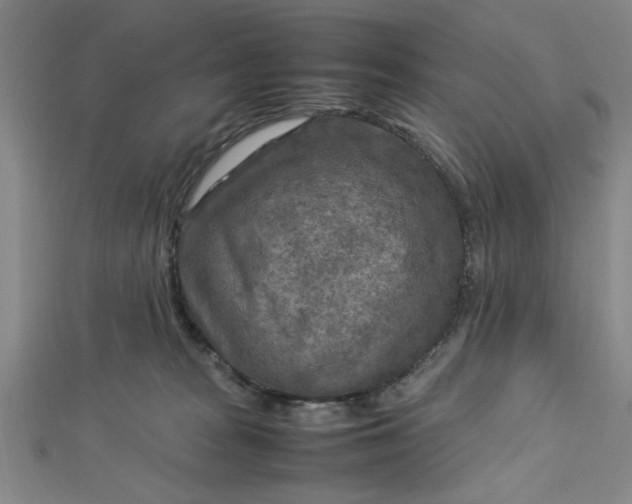 X0000112730277200909031451