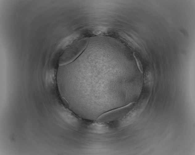 X0000112730280200909031451