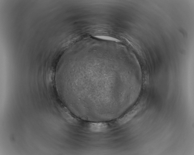 X0000112730281200909031451