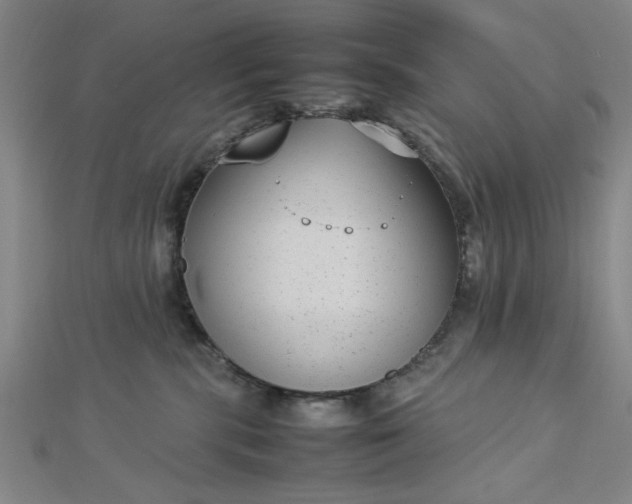 X0000112730283200909031451