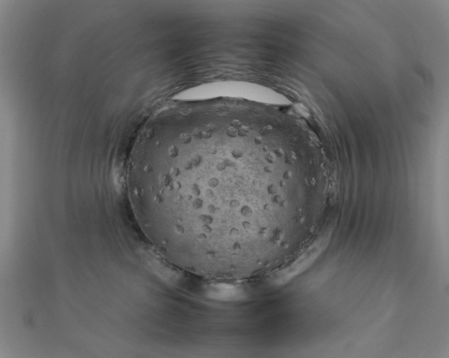 X0000112730285200909031451