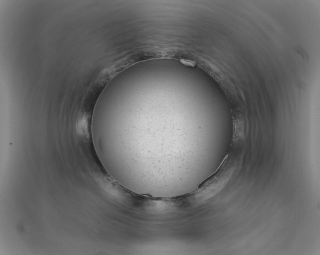 X0000112730286200909031451