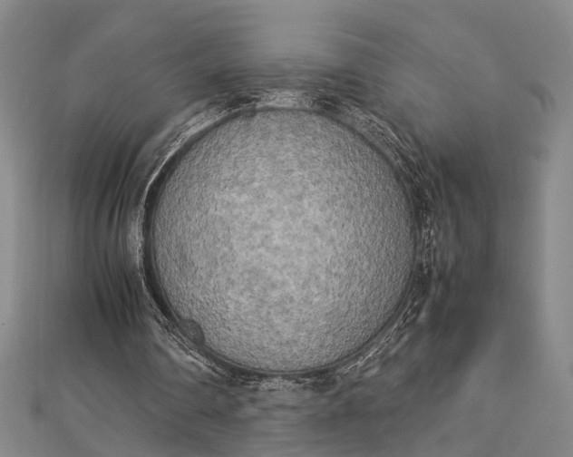 X0000112730290200909031451