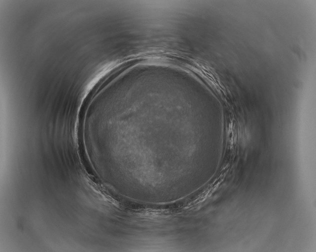 X0000112730292200909031451