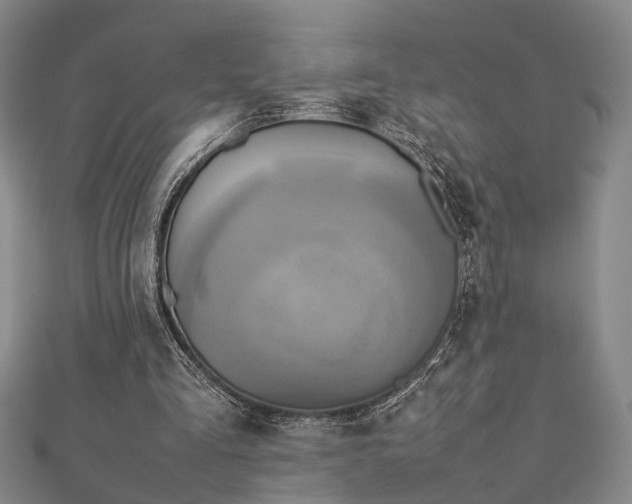 X0000112730293200909031451