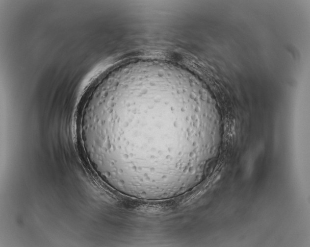 X0000112730294200909031451