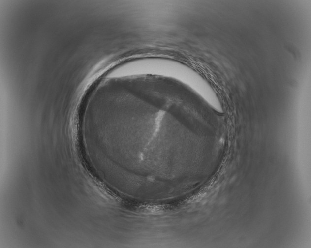 X0000112730295200909031451