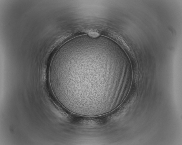 X0000112730299200909031451