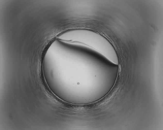 X0000112730301200909031451