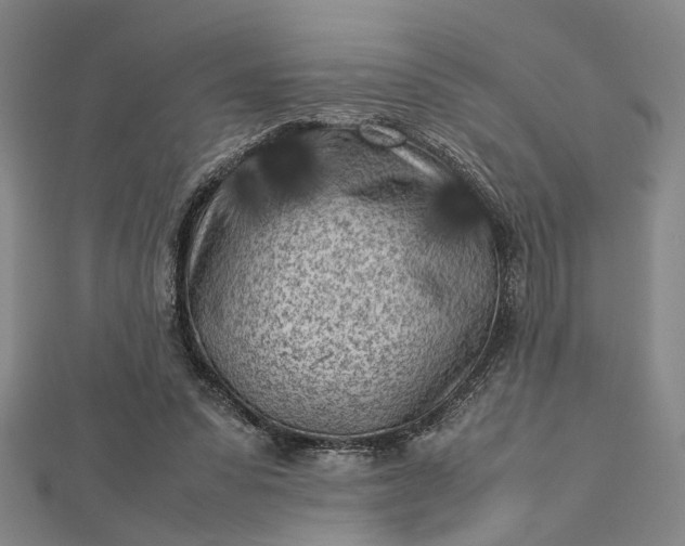 X0000112730303200909031450