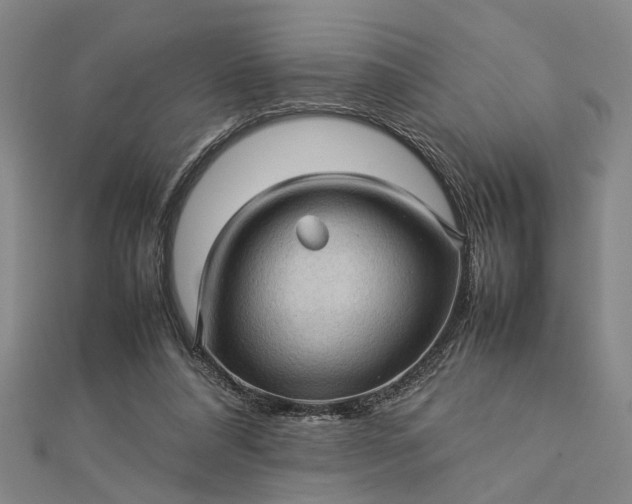 X0000112730304200909031450