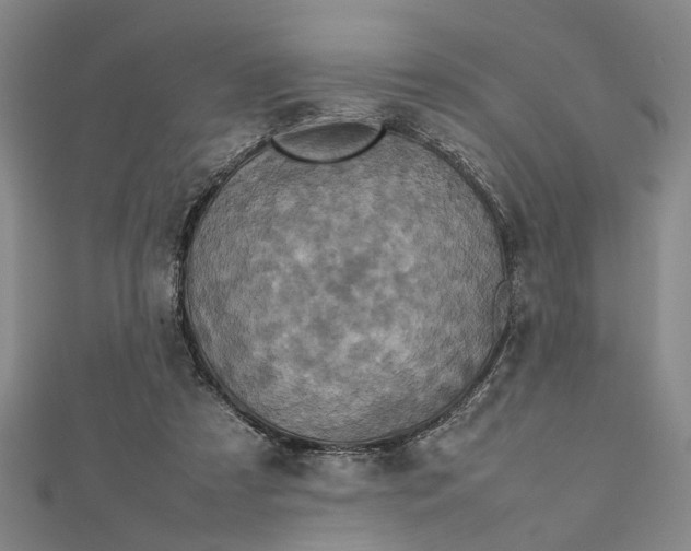 X0000112730305200909031450