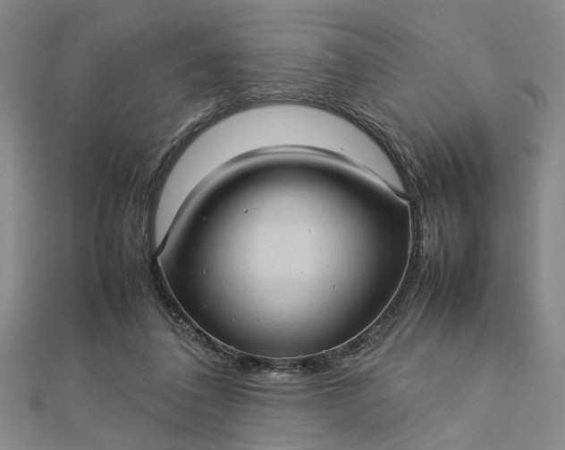 X0000112730308200909031450