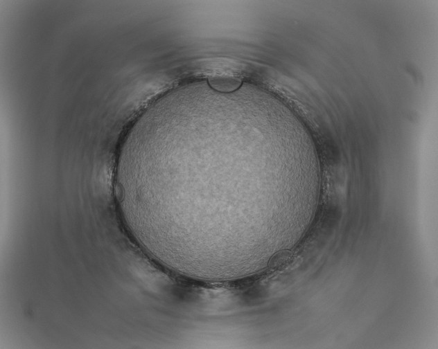 X0000112730309200909031450