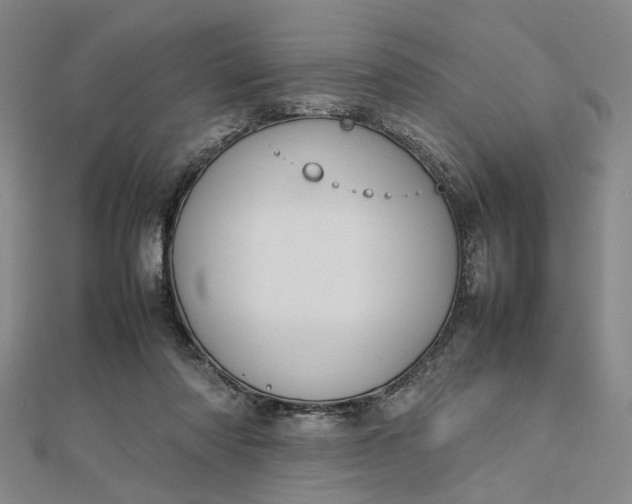 X0000112730310200909031450