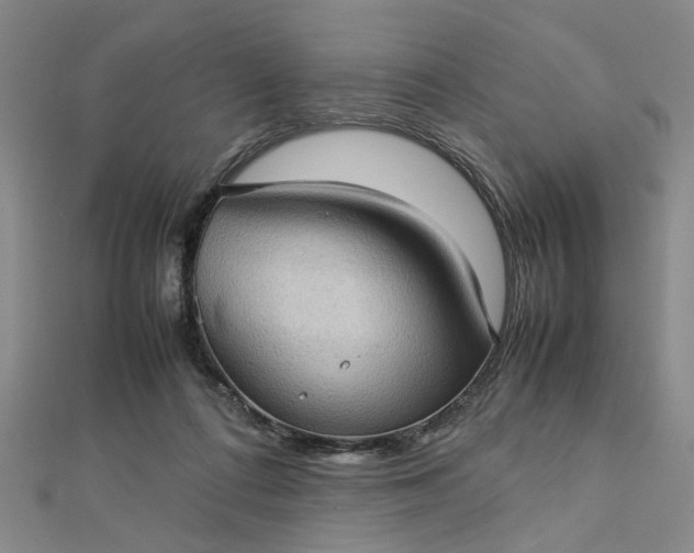 X0000112730312200909031450