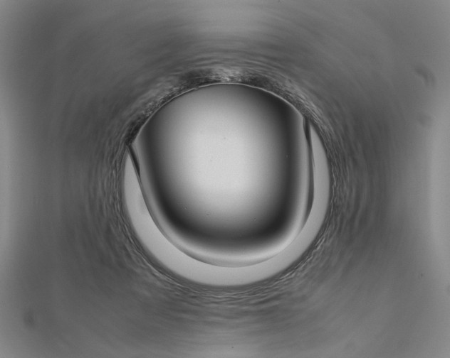 X0000112730313200909031450