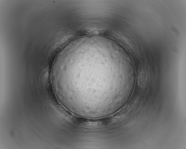 X0000112730314200909031450