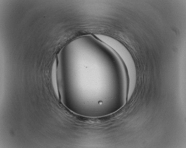 X0000112730317200909031450