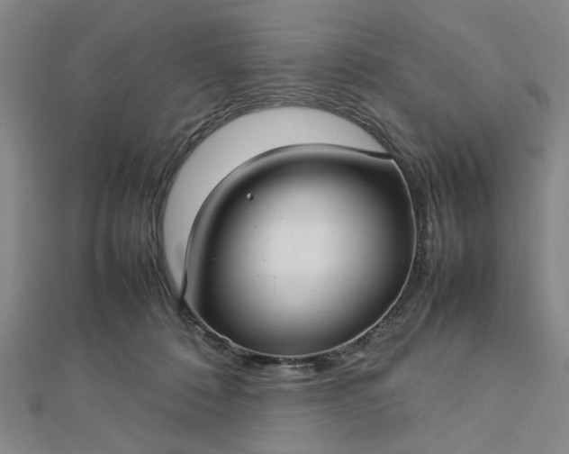 X0000112730320200909031450