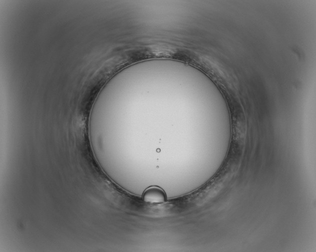 X0000112730321200909031450