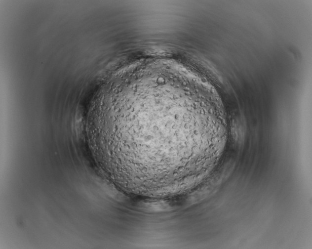 X0000112730322200909031450