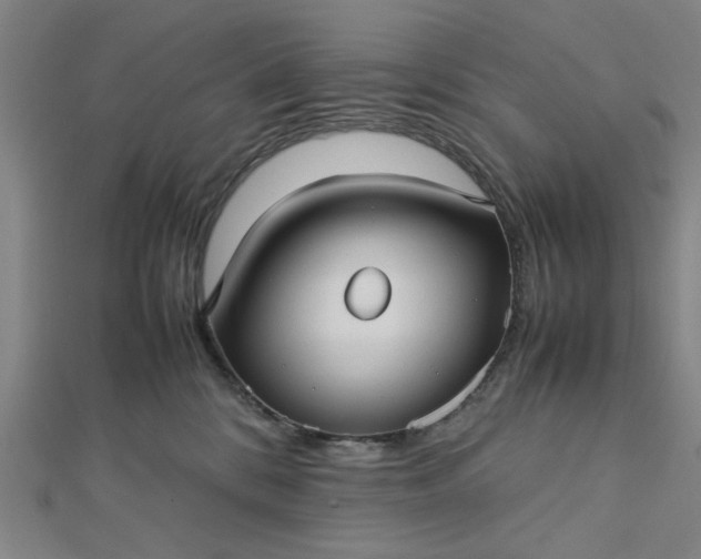 X0000112730328200909031450