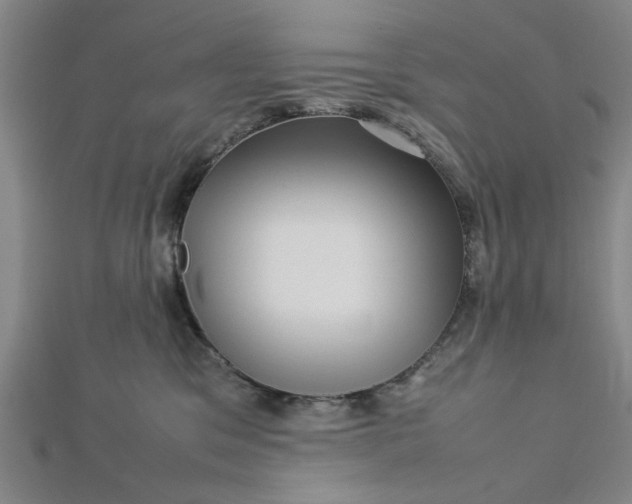 X0000112730329200909031450