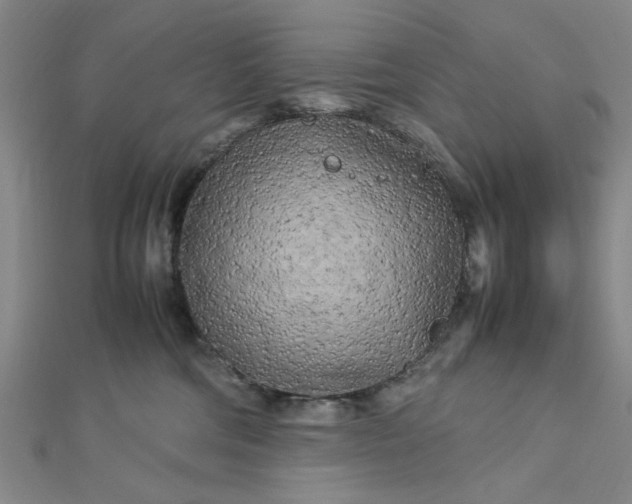 X0000112730330200909031450