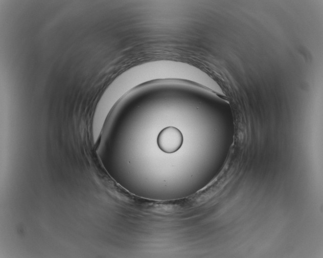 X0000112730332200909031450