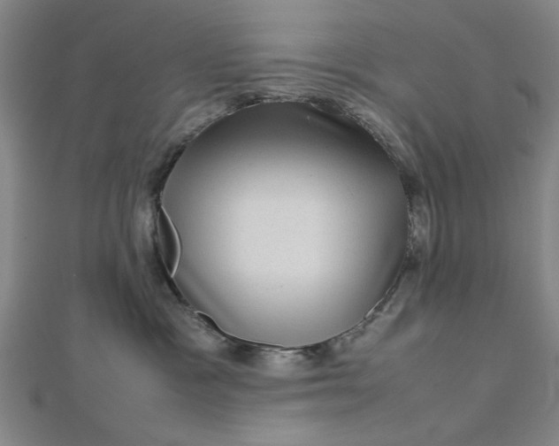 X0000112730333200909031450