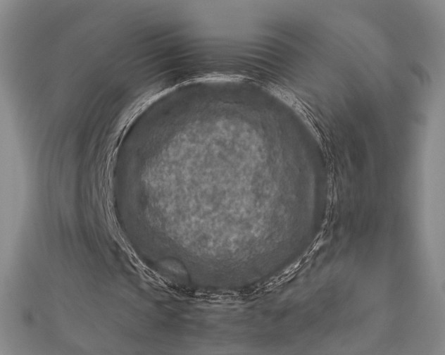 X0000112730337200909031449