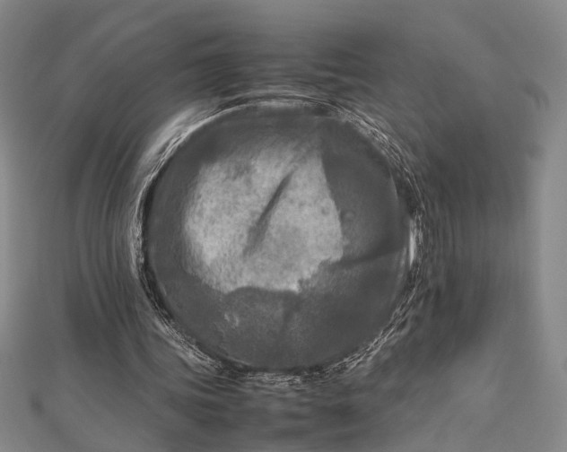 X0000112730339200909031449