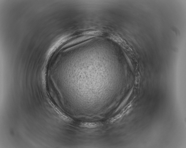 X0000112730341200909031449