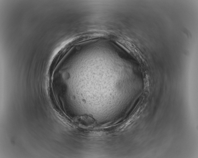 X0000112730342200909031449